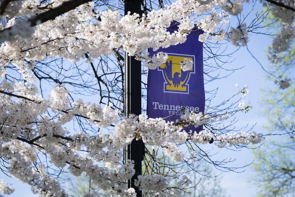 美國(guó)的學(xué)校對(duì)GRE分?jǐn)?shù)有啥要求?